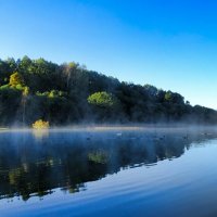 Осенний пейзаж с лебедями на озере. :: Милешкин Владимир Алексеевич Осенний пейзаж с лебедями на озере. :: Милешкин Владимир Алексеевич