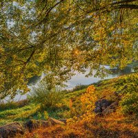 Золото Опеченского Посада(село) :: Александр Филатов