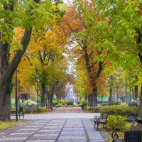 Новы Двор Мазовецки :: Светлана Ищенко Новы Двор Мазовецки :: Светлана Ищенко