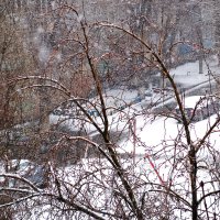 мартовский снегопад с мокрым снегом :: Александр Лычагин мартовский снегопад с мокрым снегом :: Александр Лычагин