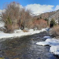 На горной речке.. :: Ирина С