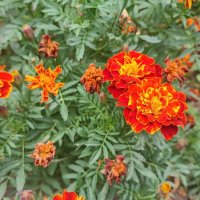 ,,, :: Сергей Тимоновский