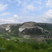 Природа Крыма :: Amazing Cosmea