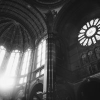 Собор Святого Николая, Амстердам. :: Егор Бугримов