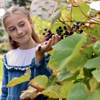 Ягоды) :: Натали Королева