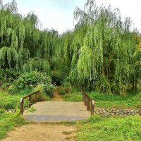 КОЛОМЕНСКОЕ :: АЛЕКСАНДР 