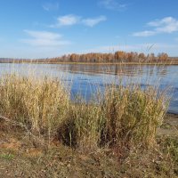 На Ангаре :: Галина Минчук