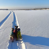 Результат нарушения ПДД :: Anna Ivanova