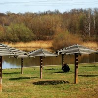 Люблинский пруд :: Игорь Белоногов