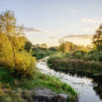 Солнце золото подсветило :: Валерий VRN Солнце золото подсветило :: Валерий VRN