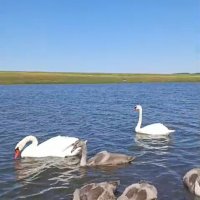 А за городом... :: Венера Чуйкова А за городом... :: Венера Чуйкова