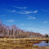 Осень :: Сергей Швечков Осень :: Сергей Швечков