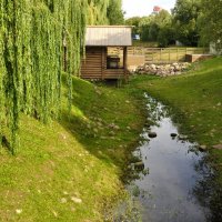 В Коломенском :: Марина Виноградова