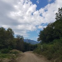 ГУАМСКОЕ УЩЕЛЬЕ :: Tata Wolf