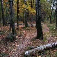 Осень не первоначальная :: Андрей Лукьянов Осень не первоначальная :: Андрей Лукьянов