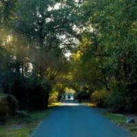 До свидания, Сентябрь! :: Татьяна Помогалова