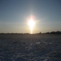 Утро :: Anna Ivanova Утро :: Anna Ivanova