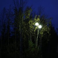 Осенние вечера :: Ольга 