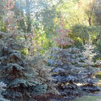 В парке :: Андрей Л. В.