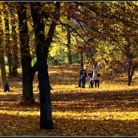 *** :: Aleksandr Gal