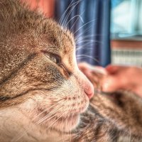 ... :: ВЛАДИМИР 