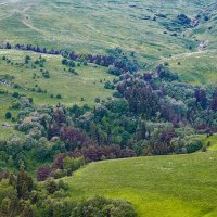 Альпийские луга :: Игорь Хижняк