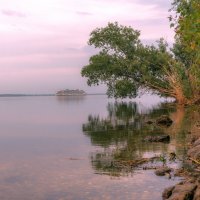 На Волге :: Наталья Димова