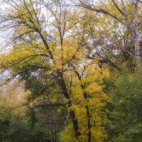 *** :: Виктор Иванович Чернюк *** :: Виктор Иванович Чернюк