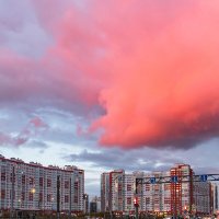 розовое облако :: navalon M