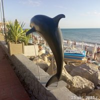 Пляж Дельфин :: Serega SchütZ