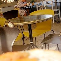 13  ОПЕН (437) :: OPEN WAYS ALL