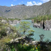 Катунь в скалах :: Валерий Медведев Катунь в скалах :: Валерий Медведев