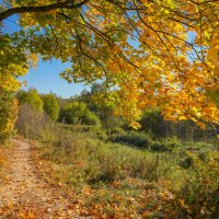 Палитра сентября... :: Владимир Жданов Палитра сентября... :: Владимир Жданов
