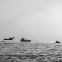 Водный аттракцион “Дракон” (чб) :: Сергей Царёв Водный аттракцион “Дракон” (чб) :: Сергей Царёв