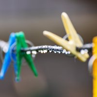 Дождь :: Александр 