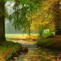 Краски осени :: Юрий. Шмаков Краски осени :: Юрий. Шмаков