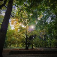 На тему Булата Окуджавы :: Victor Vinocurov