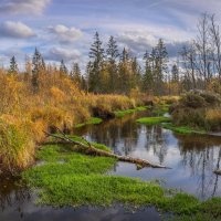 **** :: Елизавета .