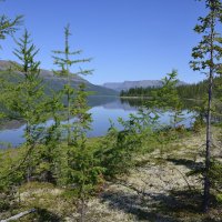 ** :: Александр Хаецкий ** :: Александр Хаецкий