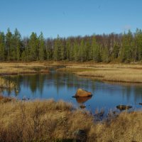 Осень Заполярья :: Сергей Швечков Осень Заполярья :: Сергей Швечков