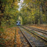 Трамвай № 25 :: Олег Дорошенко