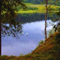 Утро и пара лебедей :: Ирэна Мазакина