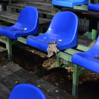 Что-то на осеннем. :: Наталья Вязигина