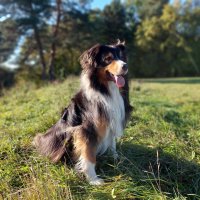 Фантом позирует :: Артём 