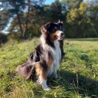 кто то мешает сЪемкам, но продолжаем позировать) :: Артём 