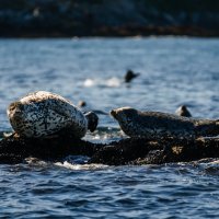 ... :: Жора Житников