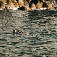 ... :: Жора Житников