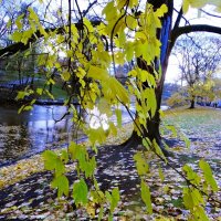 осень :: марта Камушкина