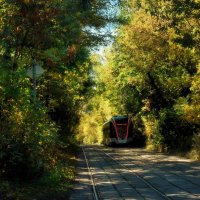 Доехали до Октября. :: Татьяна Помогалова Доехали до Октября. :: Татьяна Помогалова