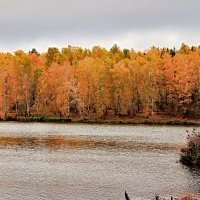 Шагает осень по Уралу :: Любовь Сахарова